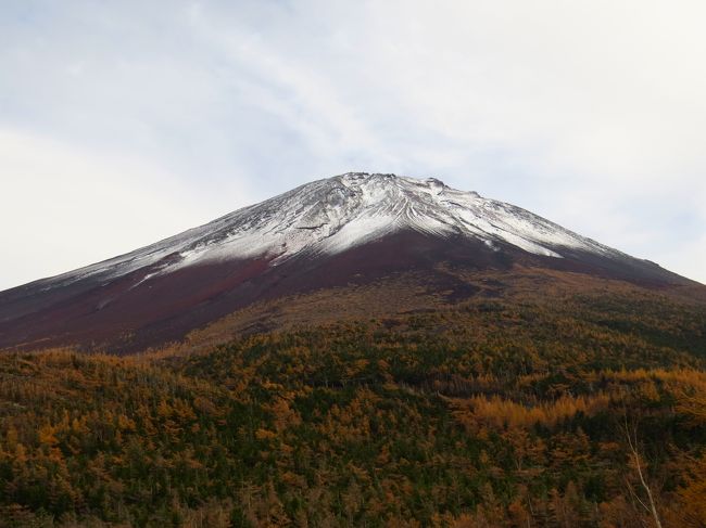 あせって、泣いて・・・<br /><br />笑って、落ち着いて・・・