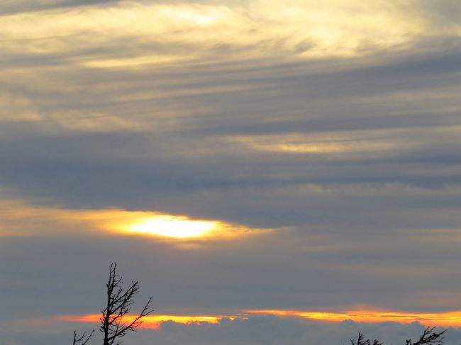 ５０代半ばにしての、初の一人旅。<br /><br />何とか無事に一日目を終われました。<br /><br />疲れましたぁ〜