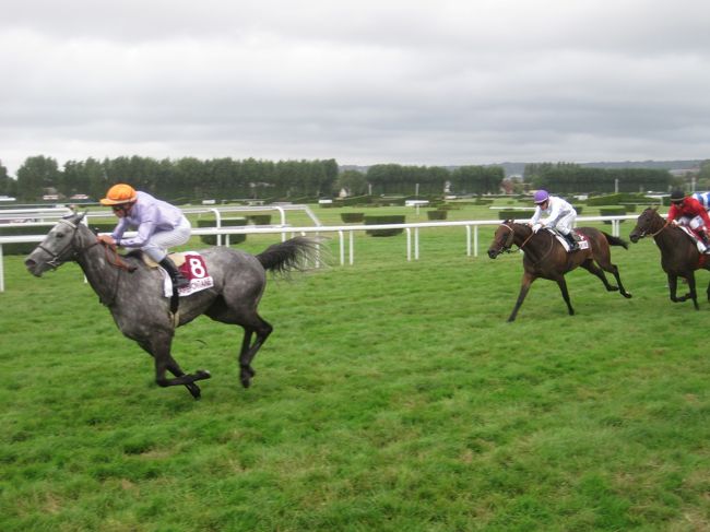 洋書 フランス語 馬 販売情報 Deauville 競馬 ドーヴィル 2002 洋書 フランス語 馬 販売情報 Deauville 競馬 ドーヴィル 2002