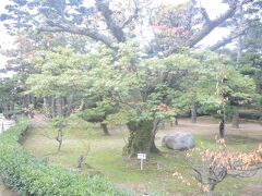 少し色づきはじめた高松城(玉藻公園)内の木