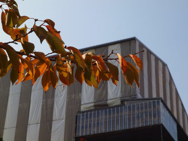 工事が終われば消える、、東塔解体復元　覆屋<br /><br />　今だからこそ見る事が出来る。