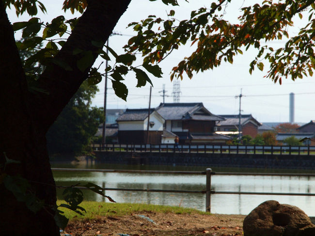　秋篠川から訪れると　<br /><br />穏やかな表情の「観音池」が向えてくれます、<br /><br />その昔は　「放生池」と　言っていました。