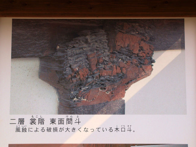 その一枚　このように　痛んでました。