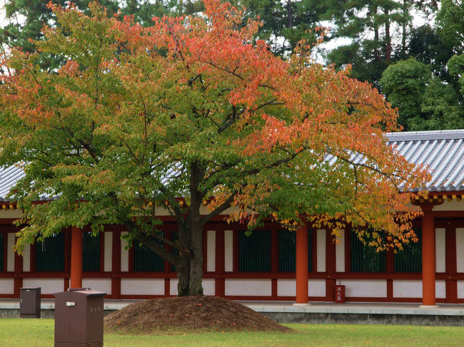 回廊。。紅葉。。<br /><br />　