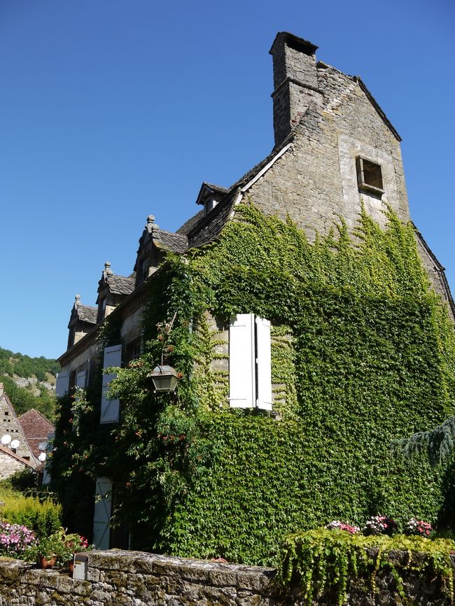 蔦の葉が家の壁一面にはって、心落ち着く風情でした。