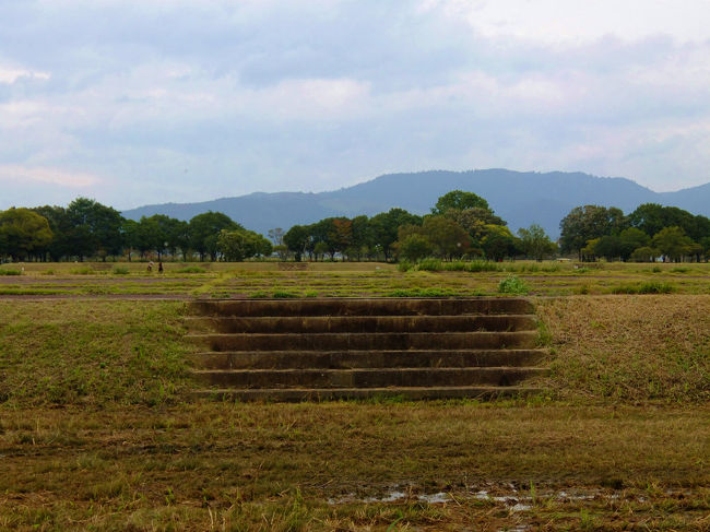 整備されていない頃の<br /><br />　平城京跡、、<br /><br />　　大極殿の刻み込んだ石柱だけの<br /><br />　　　　大極殿でした。<br /><br />　現在第二次大極殿跡にまだあるのかな？<br /><br />その頃の写真　探したのですが　<br /><br />　行方不明で　ご紹介できないのが残念です。<br /><br />見つかりましたので　最後に貼りました<br /><br />　　　