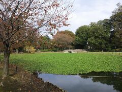 沼地が点在していた戦国の世の名残を残す水城公園。