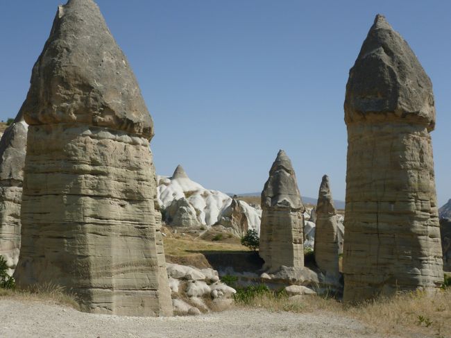 30分ほど自由行動でハイキングに行きました。