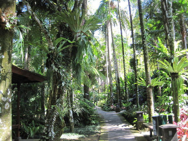 この道をどんどん進んでいきます。