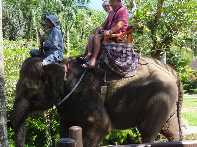 こんな感じで乗るみたいです。緊張・・・( ﾟдﾟ)