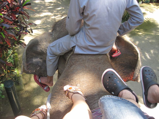 乗った視点からの写真です。<br />イスは思ったよりも安定感があります。結構揺れるので、木のイスに背中と腰がガンガン当たります(笑<br /><br />乗ってる間、直射日光すごいだろうなーと思ってましたが、森の中を歩くことが多かったので気持ちいいくらいでした。<br />様子を見て、前に乗ってる係の人が後ろ向きになって写真も撮ってくれます。