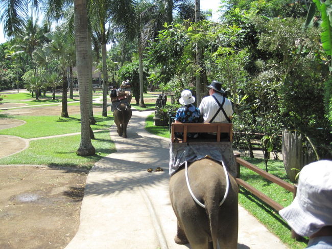 前にいた夫婦。