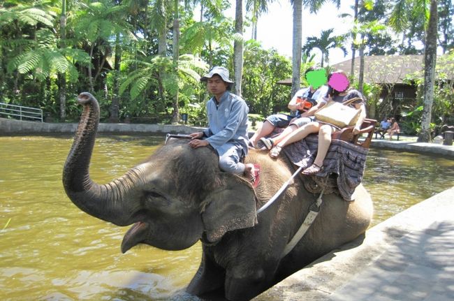 写真を撮ってくれる係の人にカメラを預けると、いい感じに撮ってくれます！