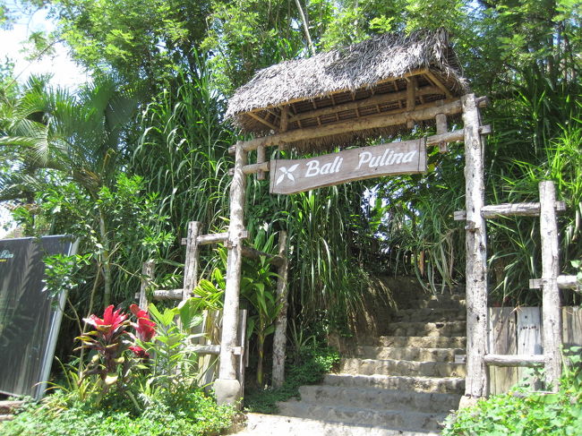 お次はエレファントサファリからさらに山の方に入って行ったところにあるコーヒー園Bali Pulinaです。<br />王子はコーヒー大好き星人なので、わくわくしてました。<br />ここまでの道がガタガタですごかった(笑<br />それでもたくましい走りを見せた、さすが我が国SUZUKIの車！！