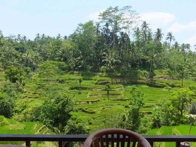 写真撮影が終わると、ごはん終わるまで外で待ってるから〜と軽快に出ていくヌガさん(笑<br /><br />お料理がくるまでまだまだ写真撮影は続きます。
