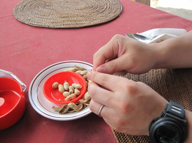お通しで出されたピーナッツ<br />ピーナッツの味がたいそう気に入ったようで、写真撮って！という要望に応えて1枚。
