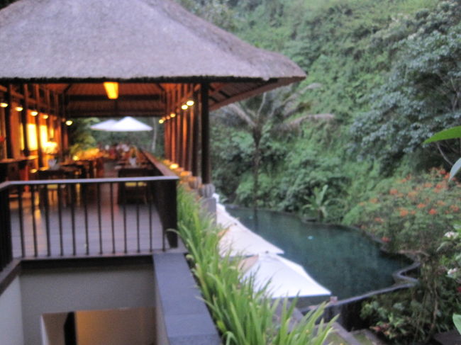 リバーカフェ<br />川もすぐそこです。