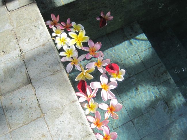 こんなふうになってました♪<br />プールの水は循環してるので端っこに寄ったみたいです。