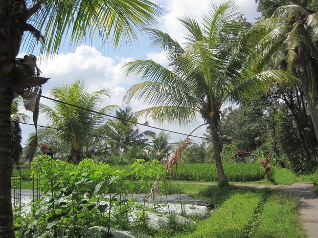 看板からすごい傾斜の坂を登ると、こんな景色のところに出ます！<br />のどかで気持ちいいです。