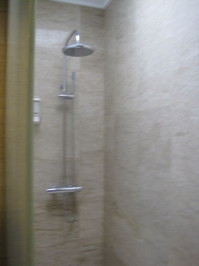 ブレちゃってますが、シャワーです。シャワーと脱衣場は仕切りなしです。