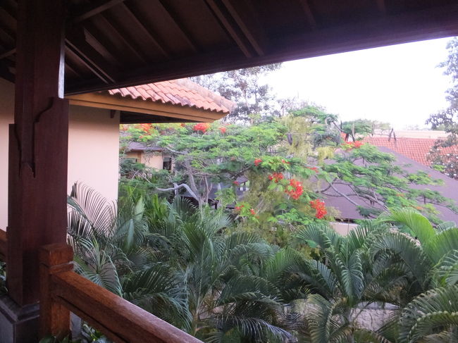 クラブラウンジからお部屋まで行く間に立派な中庭があります。ここも緑がいっぱいで和みます。