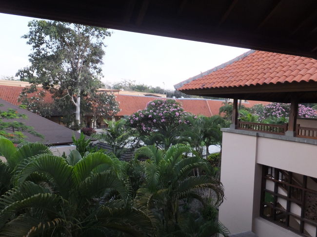 おっきな木がたくさん！