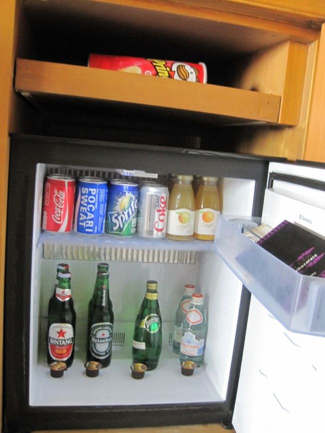 冷蔵庫です。<br />中身は有料でした。