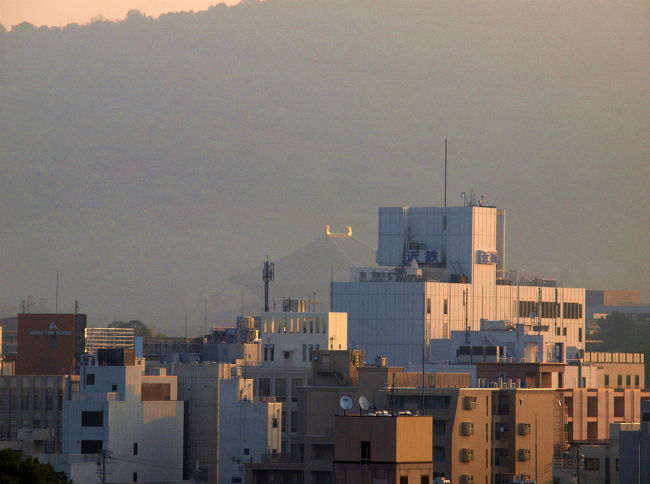 大仏殿のしびが光ってる