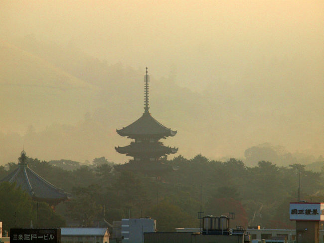 興福寺の五重塔<br /><br /> 　　南円堂