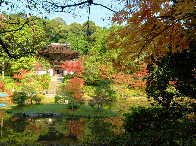 寺伝では　天平勝宝８年（７５６）の　創建<br /><br />　これ程　長い歴史あるとは知らず　奈良度で初めての訪問でした。<br /><br />　石段を降りて　<br /><br />　絶句<br /><br />　この美しさに。