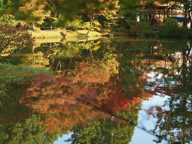 池に映える　紅葉