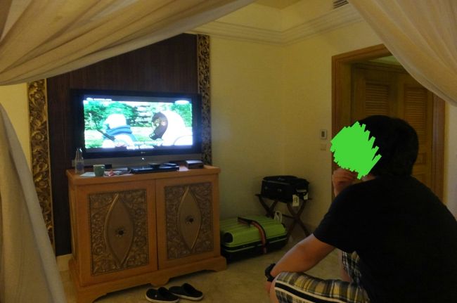 アニマックスを見ている王子。バリにまで来て日本のアニメ見るとは^_^;