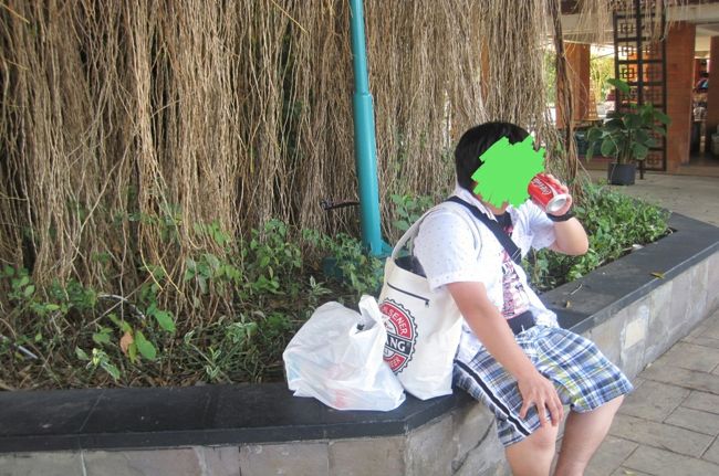 おっきな木の下、コーラで休憩。