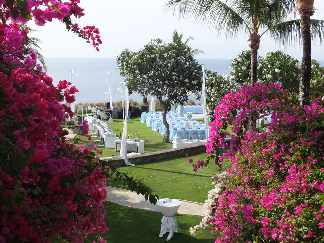 プールの下で結婚式があるみたいで、大人数で会場の準備をしてました。