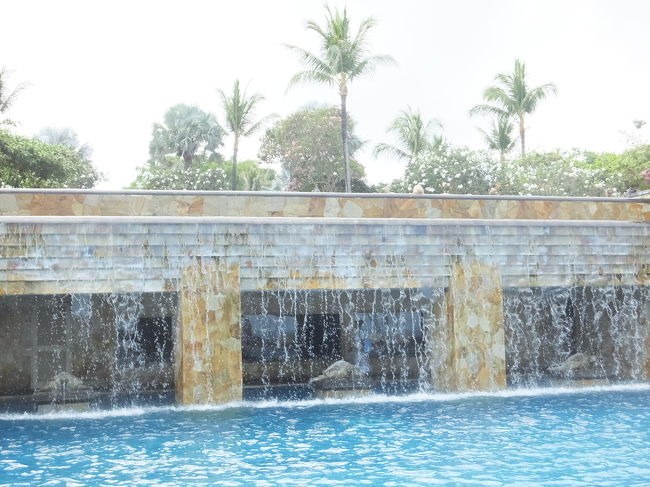 プールの水は下のプールに流れます。この滝の裏にはおっきな水槽があって、お魚もいました。