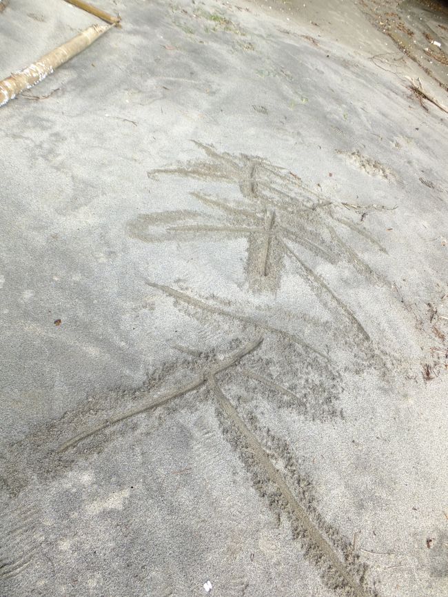 砂浜に書いてきた、楽天おめでとう！<br />