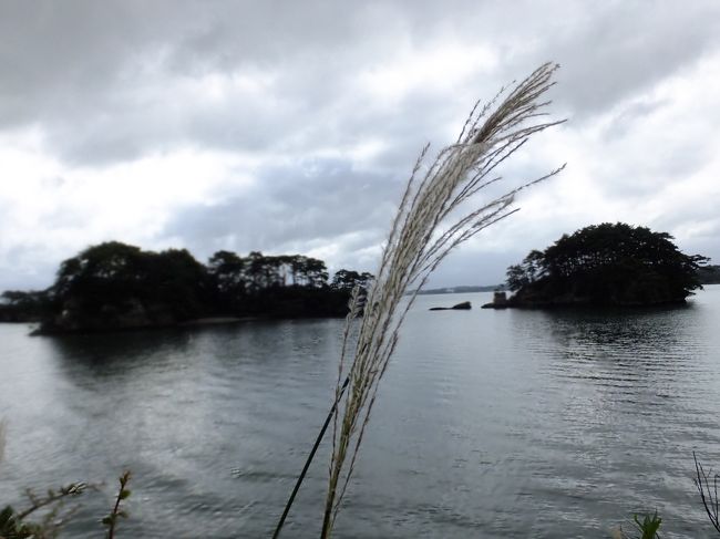 写真は少ないですが、40分くらい無人島で遊んでました。<br />松島の観光の仕方として正解とは言えないでしょうが…団体さんいないし。空いてたし。なかなか楽しかったですっ。