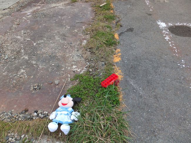中瀬を歩いていて気付いたのですが、道端におもちゃが置いてある…。<br />はじめのうちは落し物かな？と思っていたのですが、数メートル間隔で見つけるので、どなたかが被災した子供さんのために置いていったのでしょうね。<br />