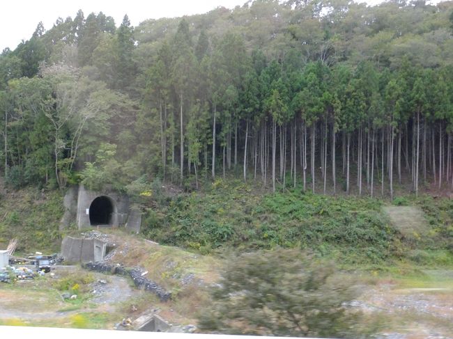 線路の跡です。<br />新設されたバス路線は一般車道を走ることもあります。