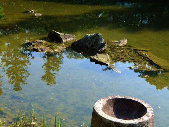 庭園<br /><br />　石組みも少ないゆったりした構成<br />