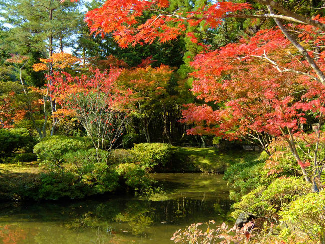 東西６９ｍの横長の池<br /><br />