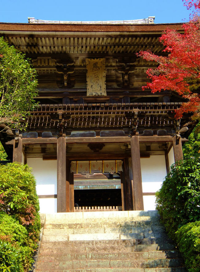 紅葉に彩られた楼門<br /><br />