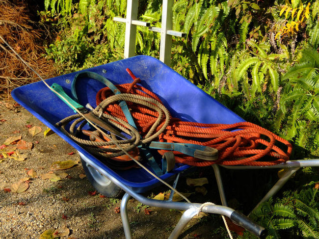 植木屋さん　休憩中<br /><br />　　　置かれた道具