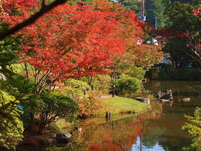大分　時間も経ちました<br /><br />　　そろそろ次へ