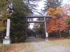 途中、多寄神社に立ち寄りました。境内の紅葉が美しかったです。