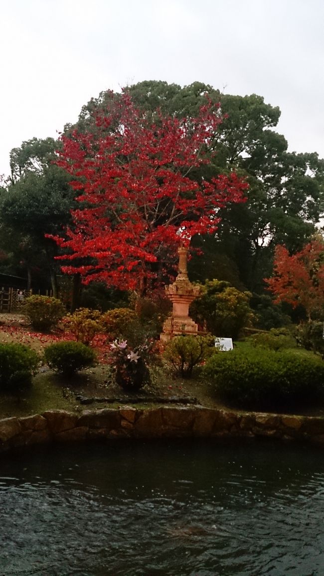 〜お茶席から〜<br /><br />庭の紅葉がライトアップで真っ赤にはえて、とてもきれいでした☆