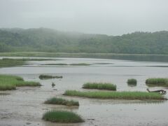 根室本線沿い釧路湿原の一隅を通過中。