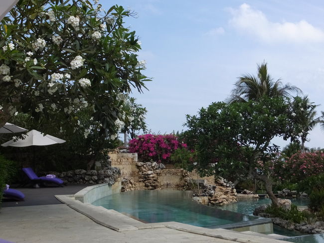 ベッドに寝っ転がりながら撮りました。<br />こっちのプールはカラフルな感じがします。