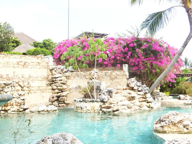 王子はこの岩場がお気に入りみたいで1人で遊んでました。