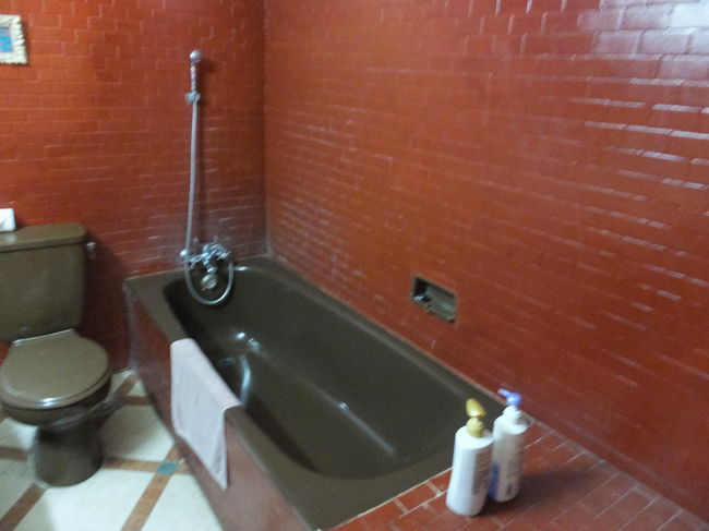 バスタブです。<br />シャンプーはLUX、ボディソープはビオレでした。